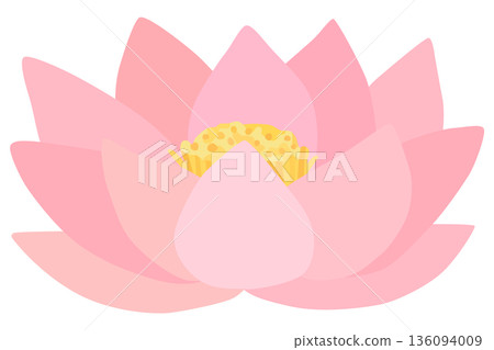 Lotus flower illustration vector material 136094009