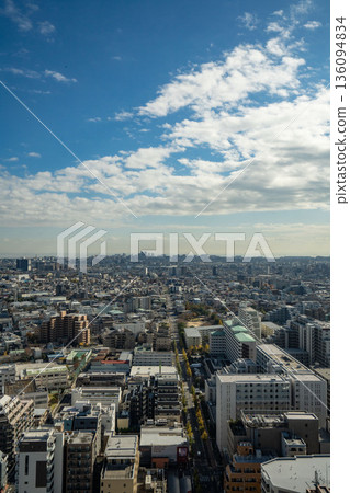 View from Funabori Tower Hall in Edogawa Ward, Tokyo, view of Edogawa Ward, Tokyo, densely populated residential areas of Tokyo, big city under blue sky View from Funabori Tower Hall in Edogawa Ward, Tokyo, view of Edogawa Ward, Tokyo, densely populated residential areas of Tokyo, big city under blue sky 136094834