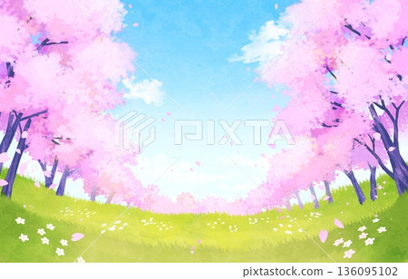 Background illustration of a field with blooming cherry blossoms in spring Background illustration of a field with blooming cherry blossoms in spring 136095102