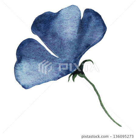 Watercolor dark blue flower, isolated illustration, floral wedding and party stationery element 136095273