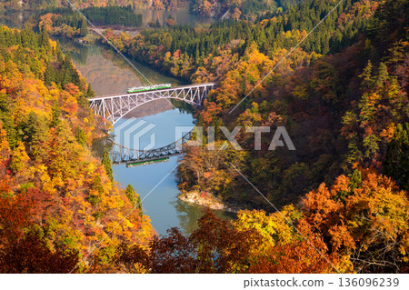 JR Tadami Line in autumn: The First Tadami River Bridge and the spectacular autumn foliage 136096239