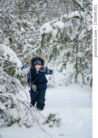 Little boy walking and playing in snowy winter forest. Natural childhood, winter season, outdoor lifestyle, family leisure, exploration and connection with nature. Little boy walking and playing in snowy winter forest. Natural childhood, winter season, outdoor lifestyle, family leisure, exploration and connection with nature. 136096301
