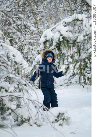 Little boy walking and playing in snowy winter forest. Natural childhood, winter season, outdoor lifestyle, family leisure, exploration and connection with nature. Little boy walking and playing in snowy winter forest. Natural childhood, winter season, outdoor lifestyle, family leisure, exploration and connection with nature. 136096307
