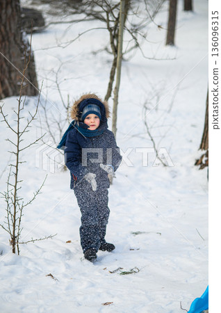 Little boy enjoying winter outdoor fun while sledding in snowy forest. Active childhood, seasonal outdoor recreation, winter adventure, family leisure and healthy lifestyle concept 136096315