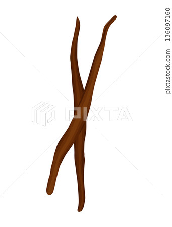 Vanilla pods or stick. Realistic vector design isolated element. Nature spice with drops Vanilla pods or stick. Realistic vector design isolated element. Nature spice with drops 136097160