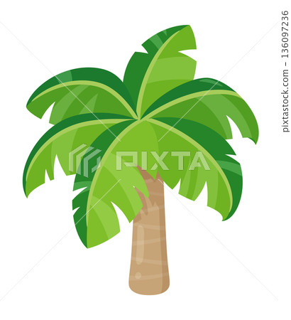 可愛的棕櫚樹插圖 136097236