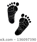 Black Footprint Icon on White Background with Shadow for Logo, Design, and Brand Use 136097390