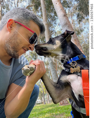 A man is petting a dog with a blue collar A man is petting a dog with a blue collar 136097468