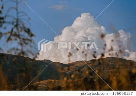 Serene Summer Landscape with Large White Clouds Serene Summer Landscape with Large White Clouds 136098137