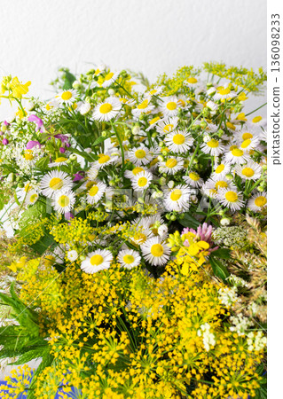 Bright wildflowers in various colors fill the scene, showcasing spring blossoms in a lively display. The mix of yellow, purple, and white petals creates a cheerful atmosphere 136098233