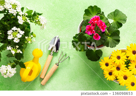 Colorful spring flowers in pots brighten a home balcony. Gardening tools are neatly arranged, ready for planting. This cheerful setup invites joy and beauty to the outdoor space 136098653