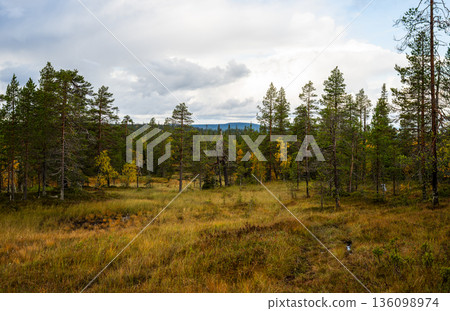 Autumn meadow landscape with pine forest and dramatic cloudy sky in Finland Autumn meadow landscape with pine forest and dramatic cloudy sky in Finland 136098974