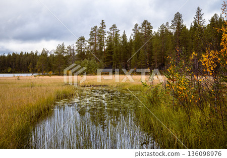 Autumn wetland landscape with forest meadow and reflective pond in national park of Finland Autumn wetland landscape with forest meadow and reflective pond in national park of Finland 136098976