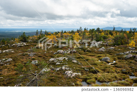 Autumn tundra landscape with rocky hills and colorful forest in Finland under dramatic sky 136098982