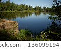 Picturesque lakeside of the lake pond in Ilemnya, Ilemnia ponds, Kalush raion, former Rozhniativ Raion, Ivano-Frankivsk Oblast, Ukraine. Tourism in Gorgany low-mountains, Ukrainian Carpathians 136099194