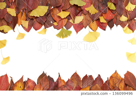 [Transparent background] Autumn natural frame material combining ginkgo and cherry leaves 136099496