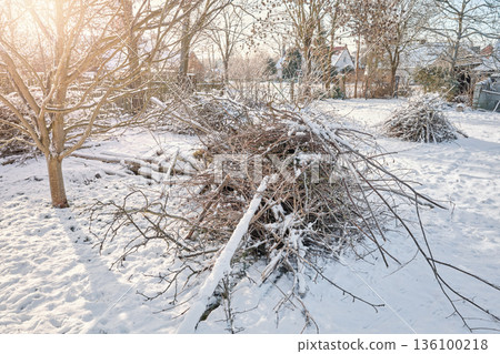 Piles of cut branches after pruning and tidying up the orchard. 136100218