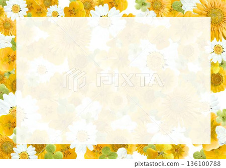 Yellow flower frame background | Bright white space design for spring and early summer flyers and announcements (A4 landscape) 136100788