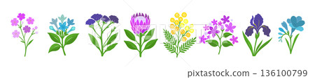 Collection of spring colorful flower elements vector. Set floral of wildflower, leaf branch, foliage on white background. Hand drawn blossom illustration for decor, easter, thanksgiving, clipart. 136100799