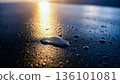 Close-up of a wet surface with sparkling water droplets / Serene textured background illuminated by the morning glow 136101081