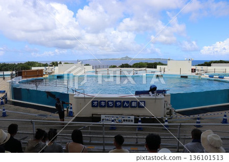 Okinawa Churaumi Aquarium Dolphin Show Okichan Theater 136101513