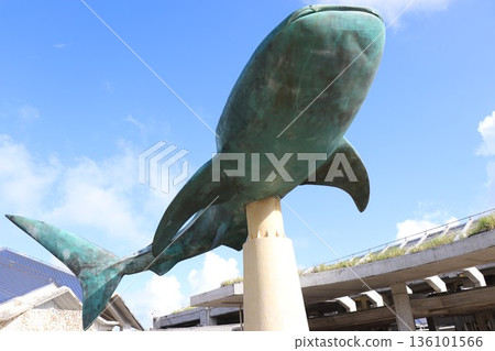 Okinawa Churaumi Aquarium, Okinawa Prefecture 136101566