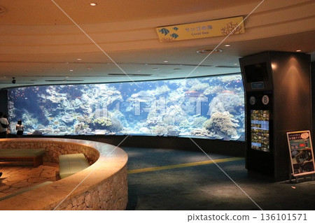 沖繩美麗海水族館,沖繩縣 沖繩美麗海水族館,沖繩縣 136101571