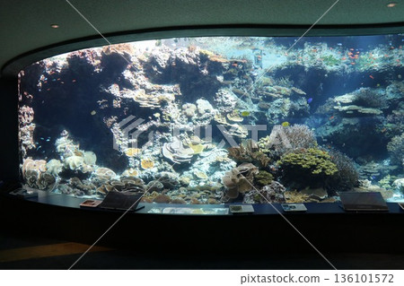 Okinawa Churaumi Aquarium, Okinawa Prefecture Okinawa Churaumi Aquarium, Okinawa Prefecture 136101572