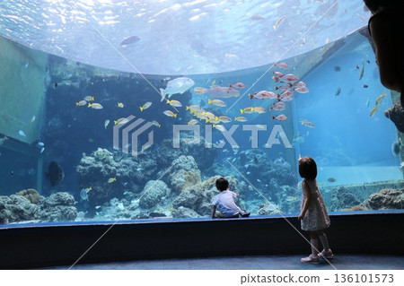 Okinawa Churaumi Aquarium, Okinawa Prefecture Okinawa Churaumi Aquarium, Okinawa Prefecture 136101573