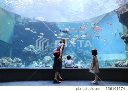 Okinawa Churaumi Aquarium, Okinawa Prefecture Okinawa Churaumi Aquarium, Okinawa Prefecture 136101574