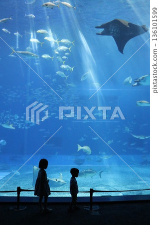 Okinawa Churaumi Aquarium, Okinawa Prefecture Okinawa Churaumi Aquarium, Okinawa Prefecture 136101599