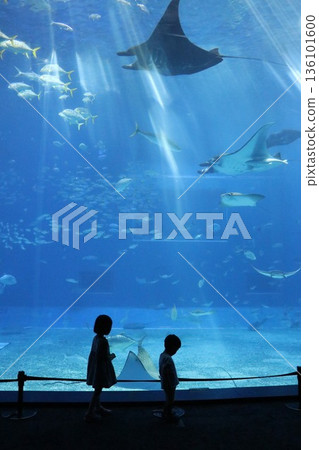 Okinawa Churaumi Aquarium, Okinawa Prefecture Okinawa Churaumi Aquarium, Okinawa Prefecture 136101600