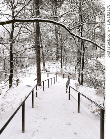 A winding walking trail with a metal fence behind low-lying forest A winding walking trail with a metal fence behind low-lying forest 136102170