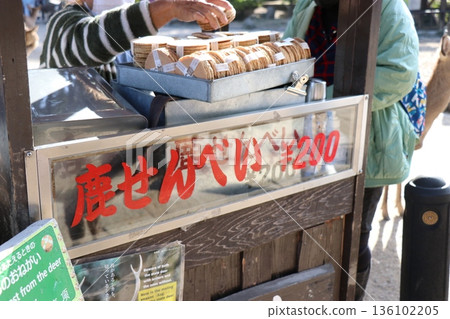A girl feeding deer crackers sold in Nara Park A girl feeding deer crackers sold in Nara Park 136102205