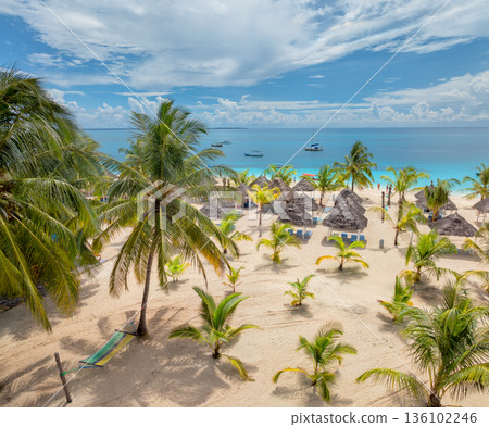 Aerial view of sandy beach, palm trees, umbrellas, boats, sea 136102246
