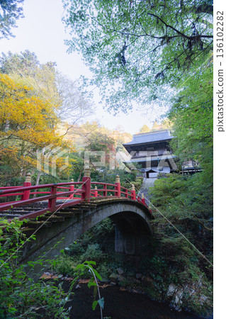 Autumn leaves decorating the bridge and temple gate of Unganji Temple 136102282