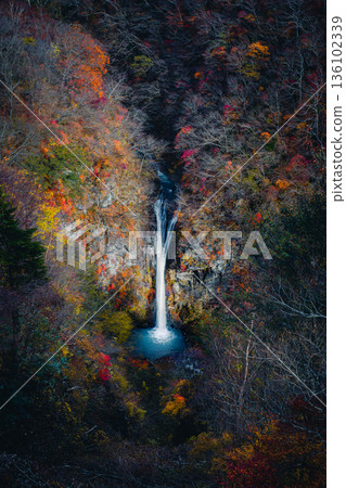 Komadome Falls and the final autumn leaves 136102339