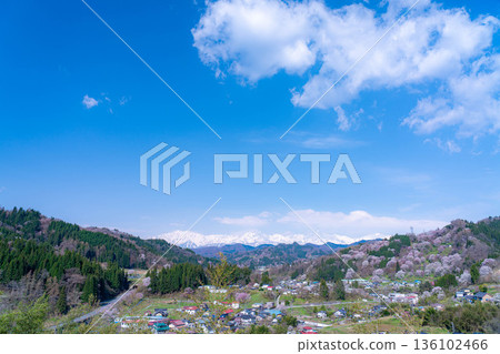 [Spring in Satoyama] Sakura in Ogawa Village and Nitanda [Nagano Prefecture] 136102466