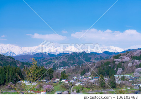 [Spring in Satoyama] Sakura in Ogawa Village and Nitanda [Nagano Prefecture] 136102468