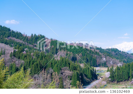 [Spring in Satoyama] Sakura in Ogawa Village and Nitanda [Nagano Prefecture] 136102469