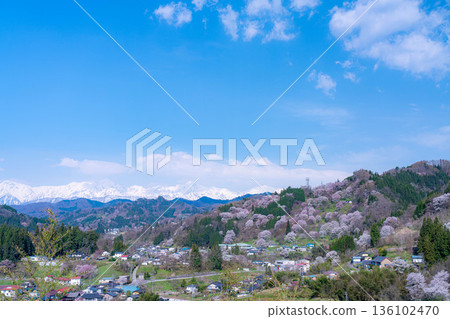 [Spring in Satoyama] Sakura in Ogawa Village and Nitanda [Nagano Prefecture] 136102470