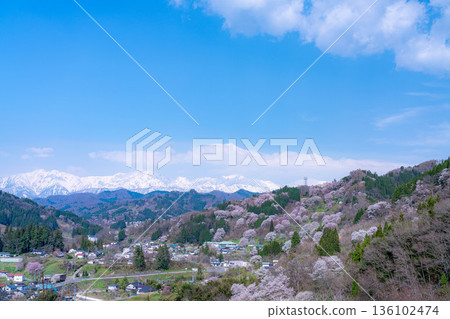 [Spring in Satoyama] Sakura in Ogawa Village and Nitanda [Nagano Prefecture] 136102474