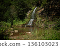 Ilemnia's waterfall in the forest. small waterfall in the Ukrainian Carpathians, Gorgany mountain range, near village Ilemnya country Ilemnia, Kalush raion district (former Rozhnyativ district) 136103023