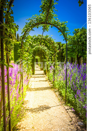 Generalife gardens in Granada, Spain Generalife gardens in Granada, Spain 136103065