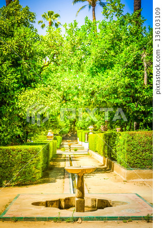 Garden of the Poets, Alcazar Palace, Seville 136103109