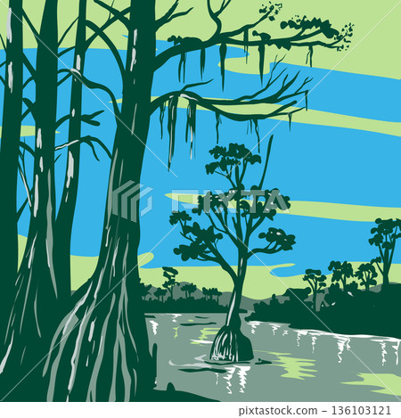 The Apalachicola National Forest in Florida WPA Poster Art 136103121