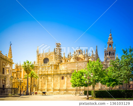 Cathedral church of Seville, Spain Cathedral church of Seville, Spain 136103129