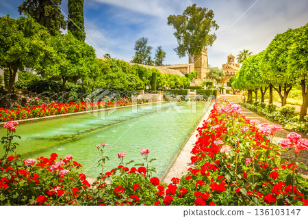 Gardens at the Alcazar, Cordoba, Spain 136103147