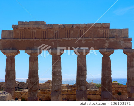 Selinunte site with ancient greek ruins, Sicily Selinunte site with ancient greek ruins, Sicily 136103171