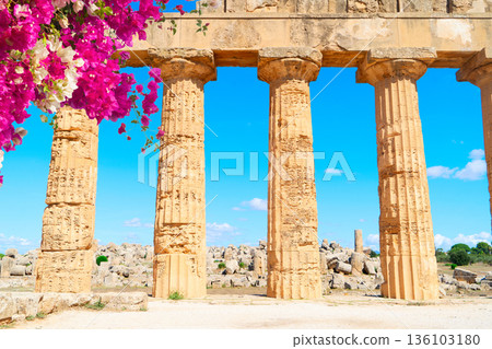 Selinunte site with ancient greek ruins, Sicily Selinunte site with ancient greek ruins, Sicily 136103180